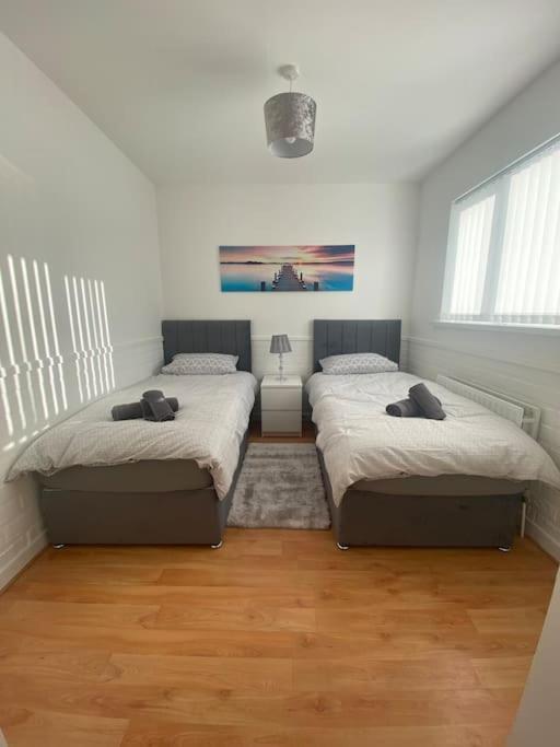 Modern Two Bed House Close To City Centre Belfast Bagian luar foto